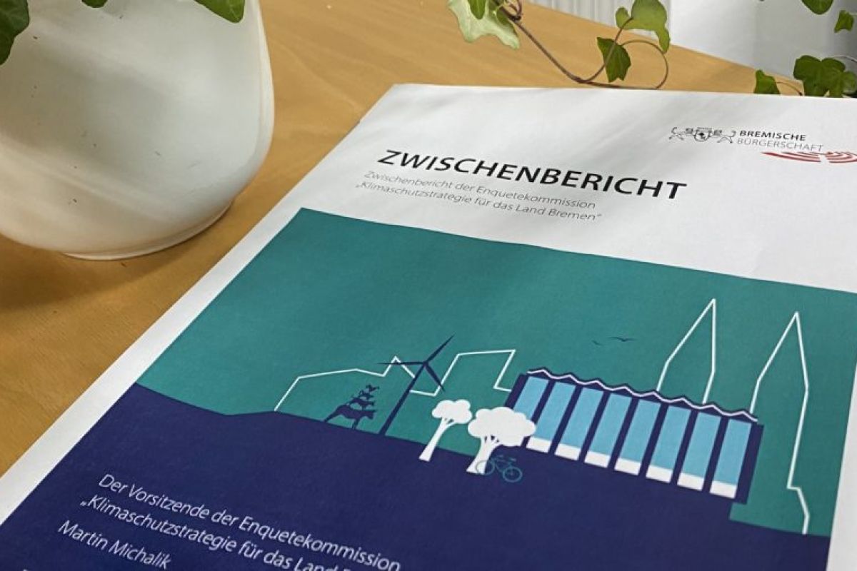 Zwischenbericht der Klimaschutz-Enquetekomission liegt auf Sideboad, daneben steht eine Pflanze