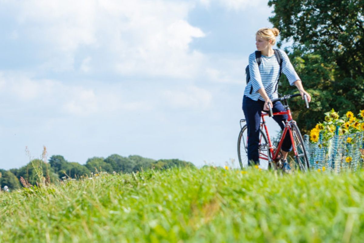 Eine Frau weiter hinten im Bild auf ihrem roten Fahrrad am Deich und Blickt Richtung Weser. Im Vordergrud ist unscharf eine Wiese und Sonnenblumen zu sehen